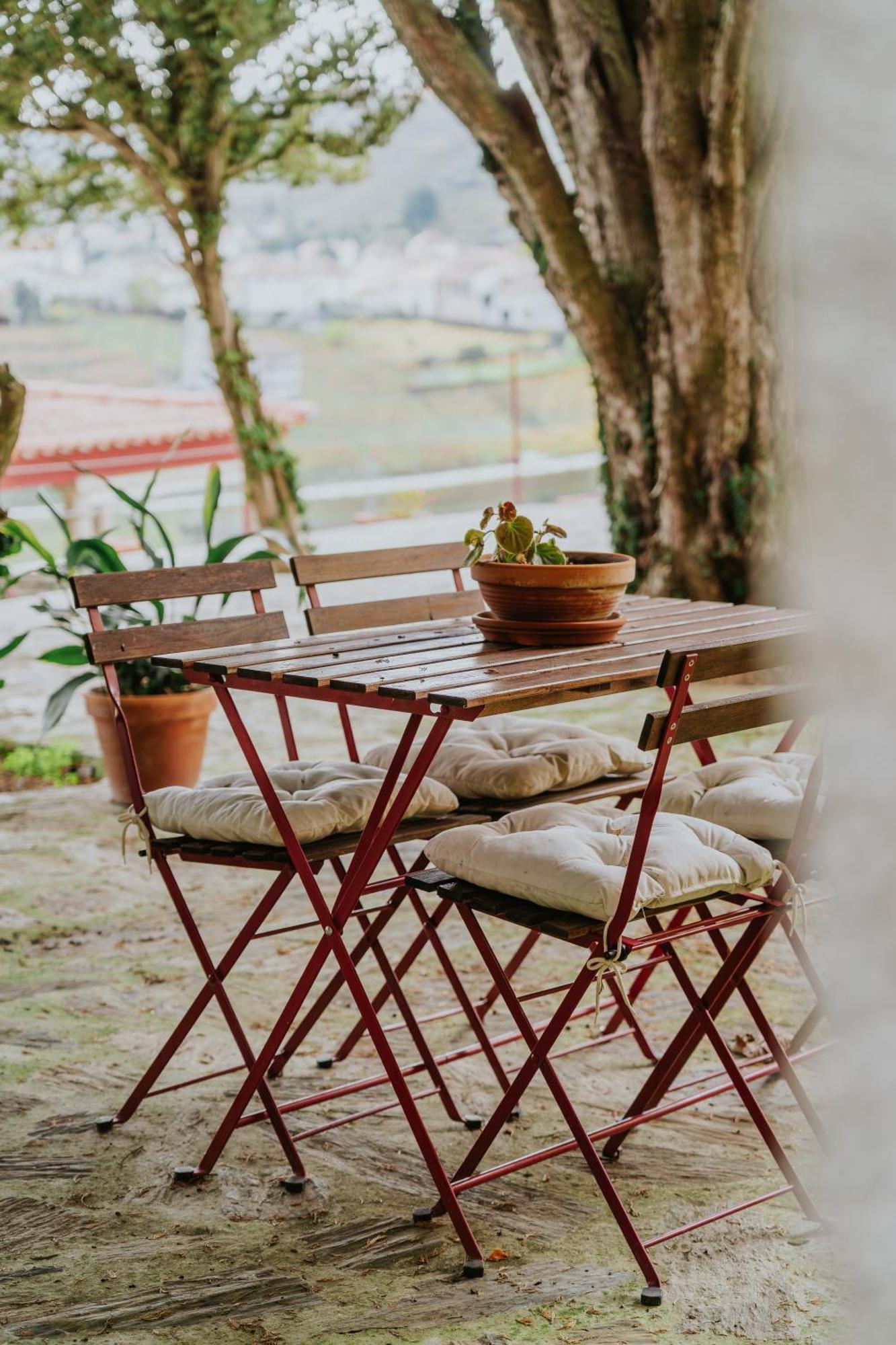 Casa Do Salgueiral Βίλα Santa Marta de Penaguião Εξωτερικό φωτογραφία